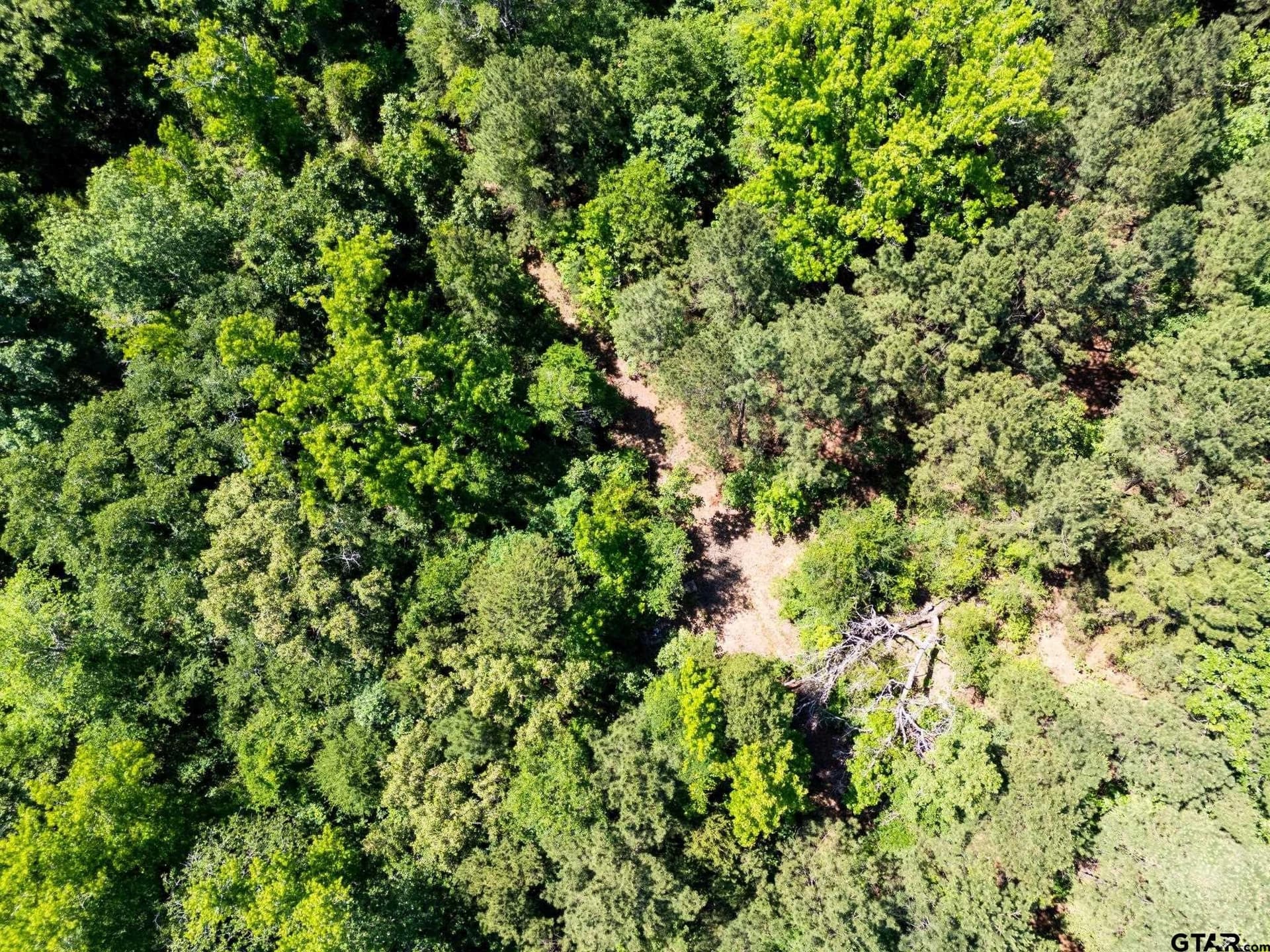 100 acres in Upshur County - photo 10