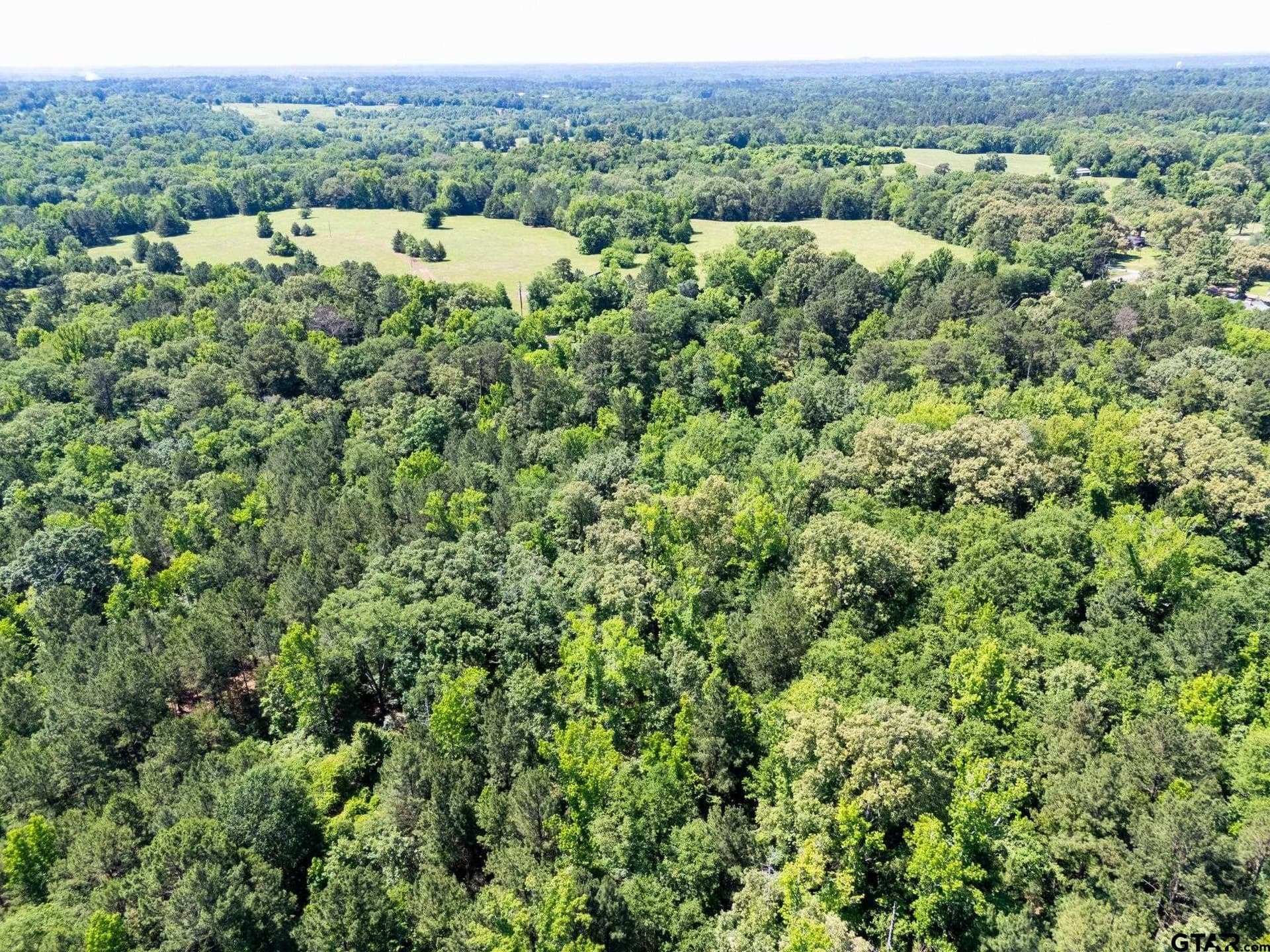 100 acres in Upshur County - photo 13
