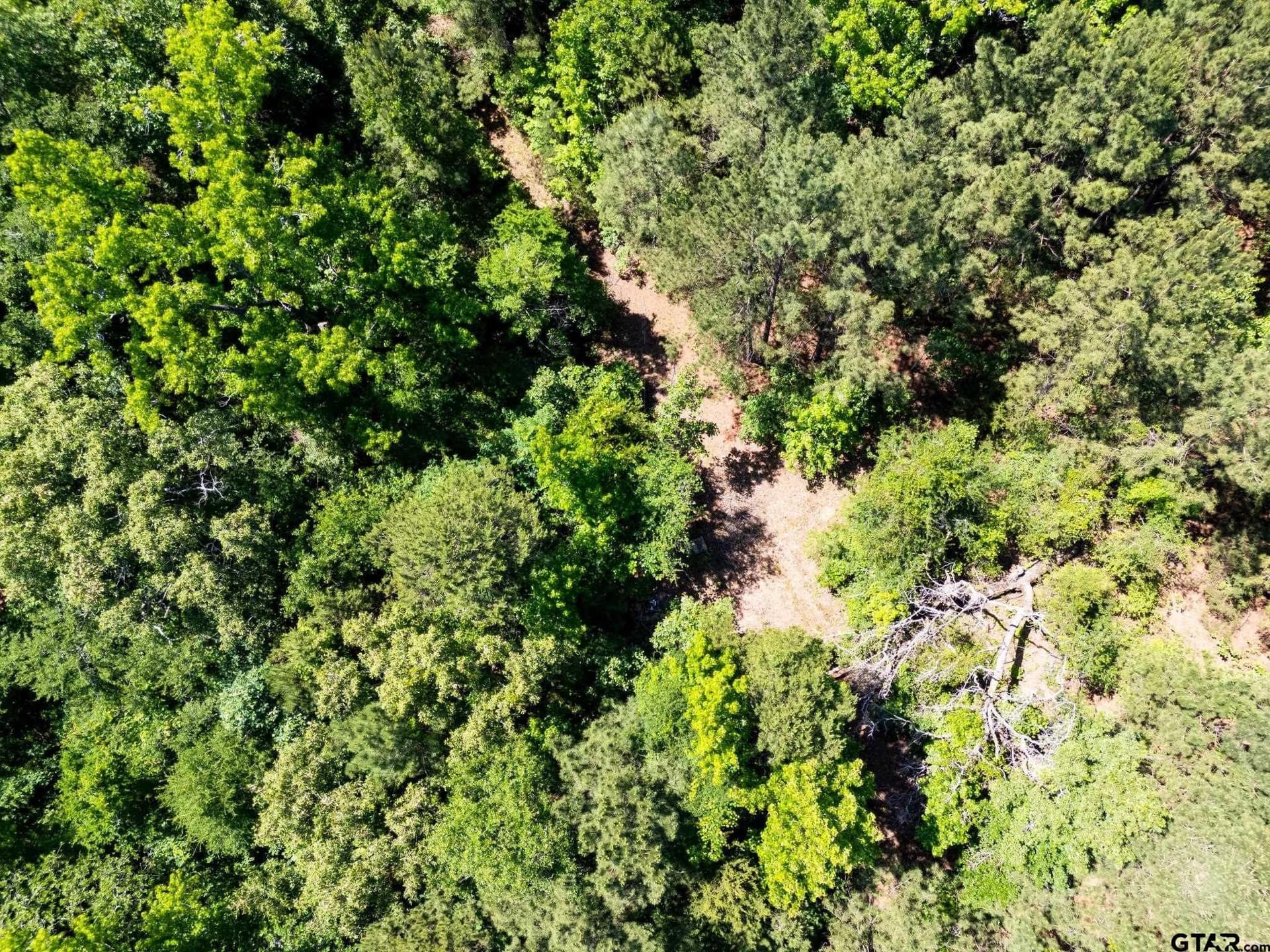 100 acres in Upshur County - photo 11
