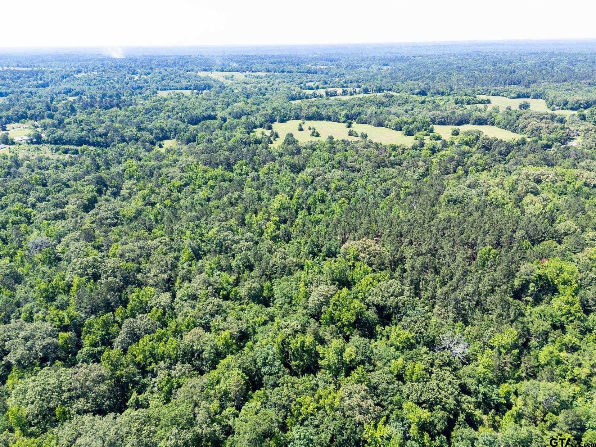 100 acres in Upshur County - photo 8