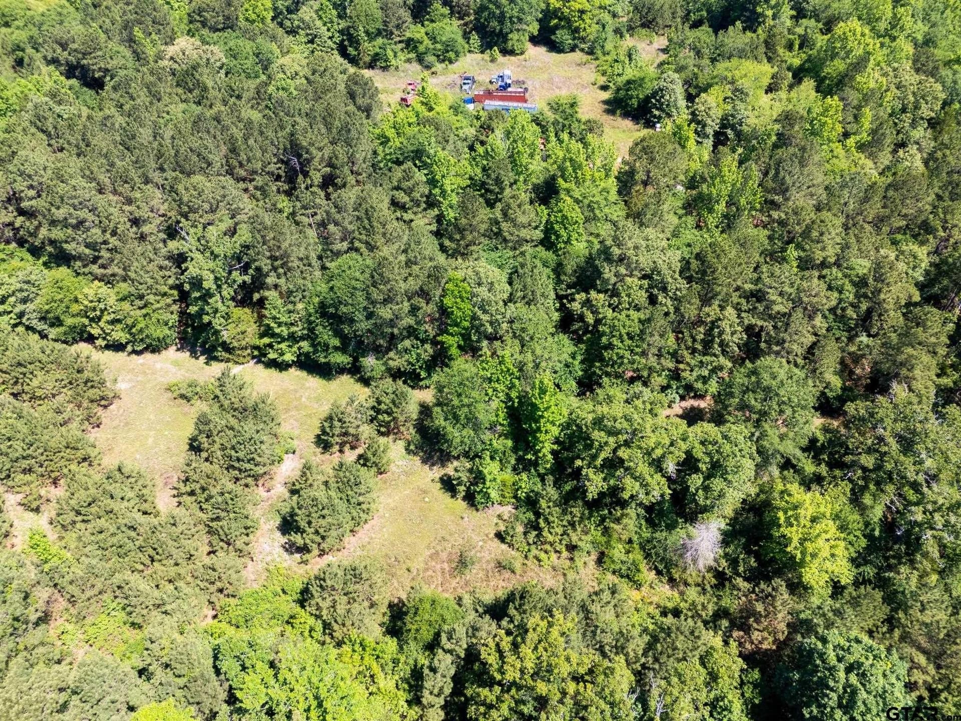 100 acres in Upshur County - photo 5
