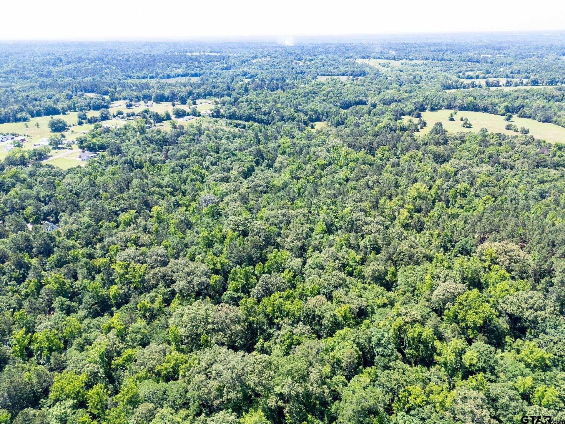 100 acres in Upshur County - photo 7