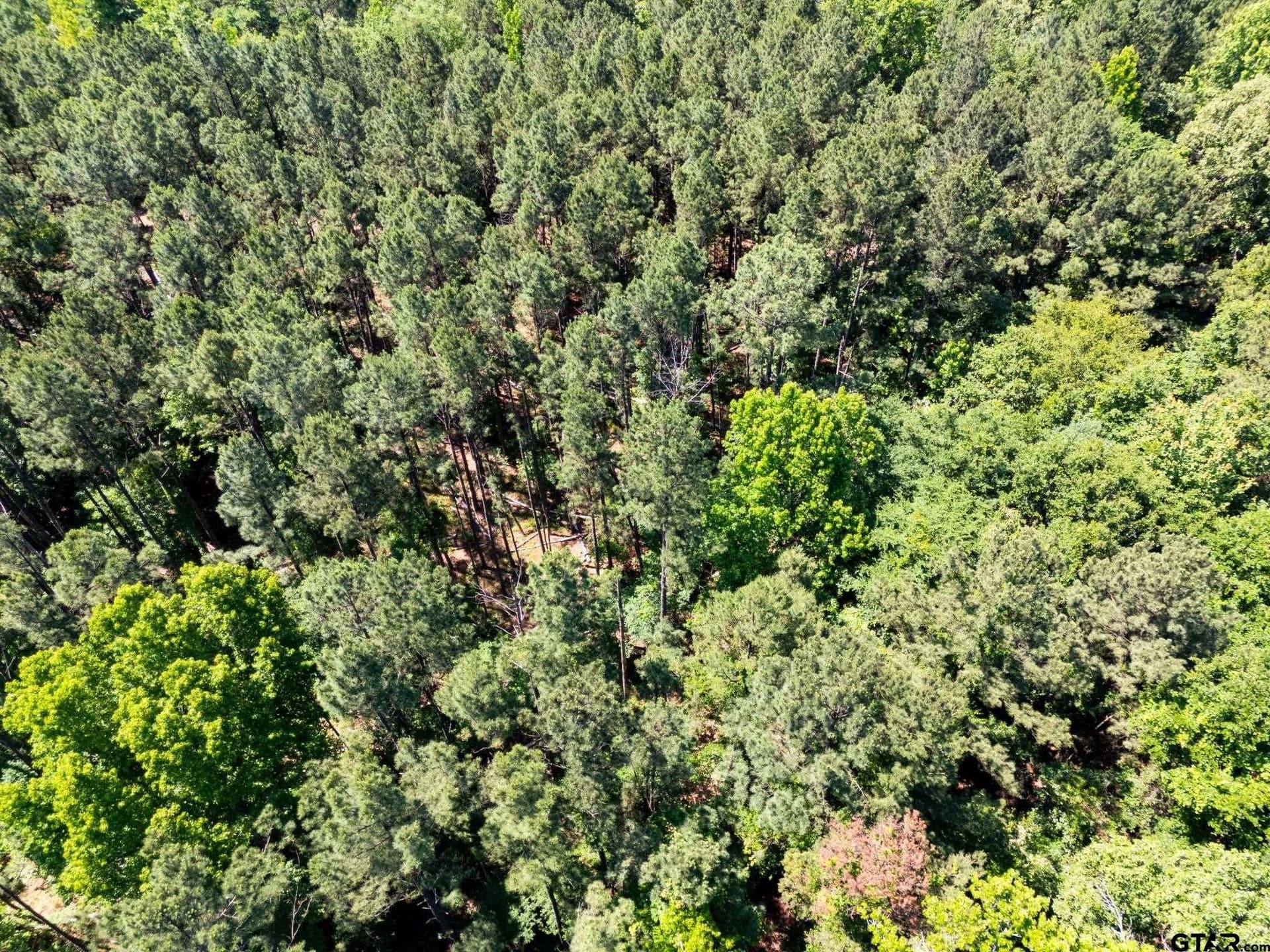 100 acres in Upshur County - photo 12