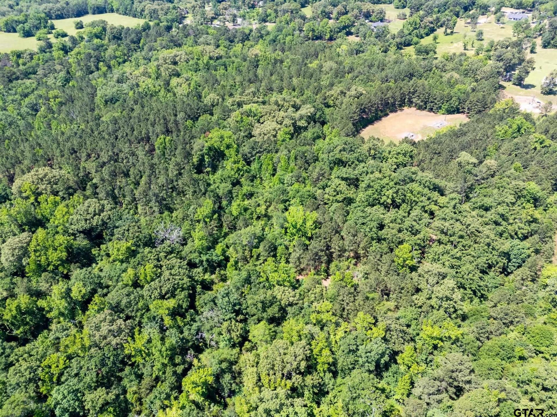 100 acres in Upshur County - photo 9