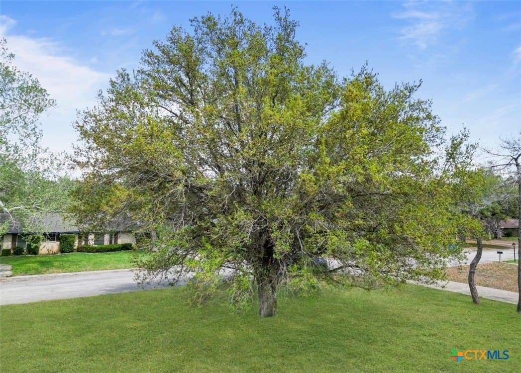 0.41 acres in Wilson County gallery image 3