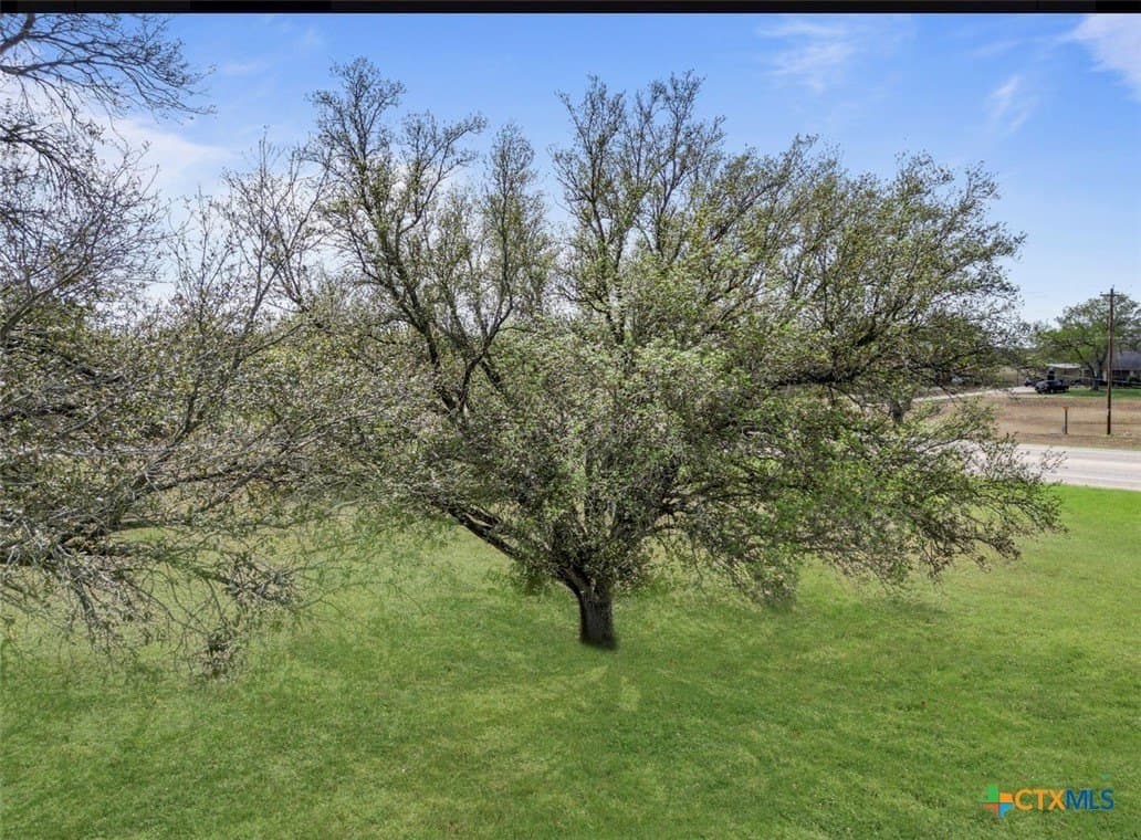 0.41 acres in Wilson County gallery image 2