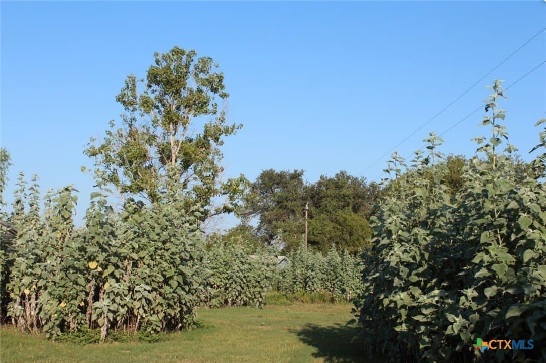 1 acres in Gonzales County - photo 8