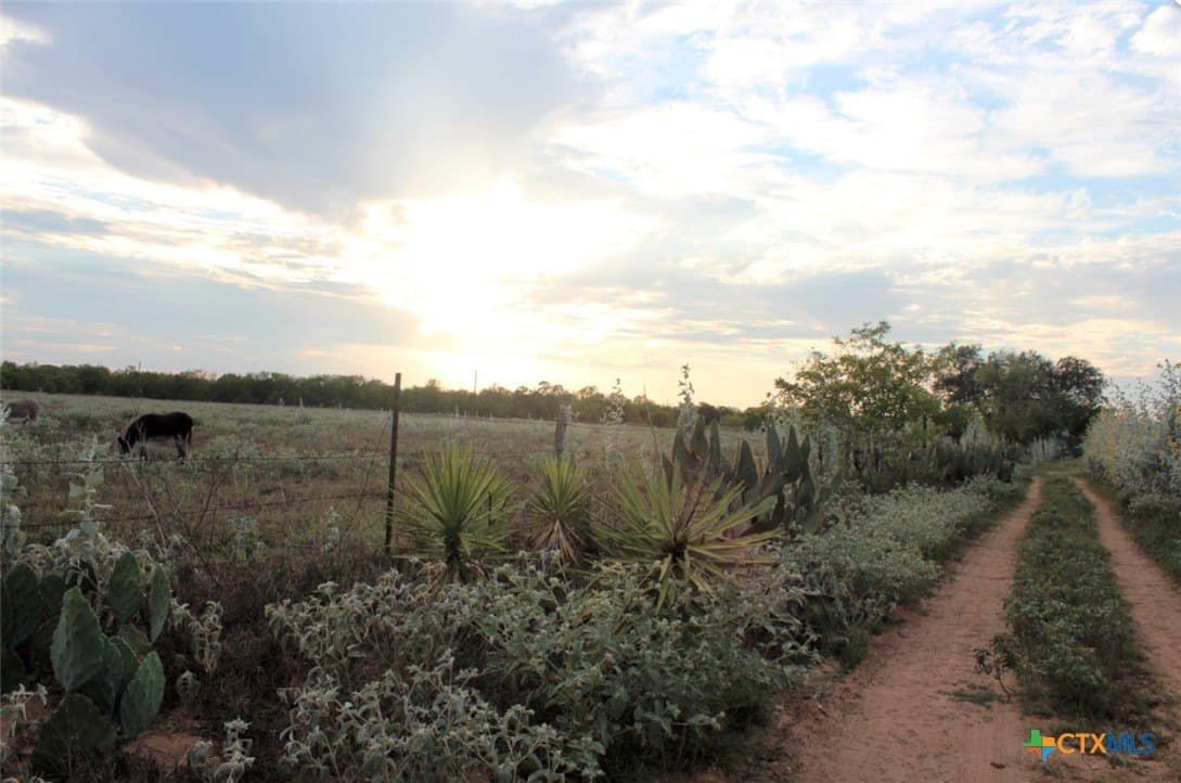 1 acres in Gonzales County - photo 6