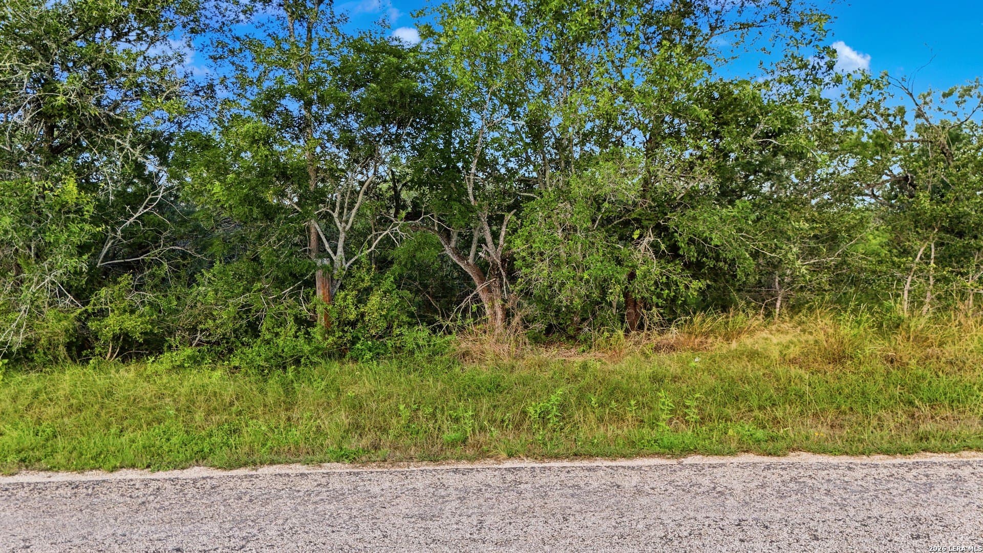 7.48 acres in Guadalupe County gallery image 4