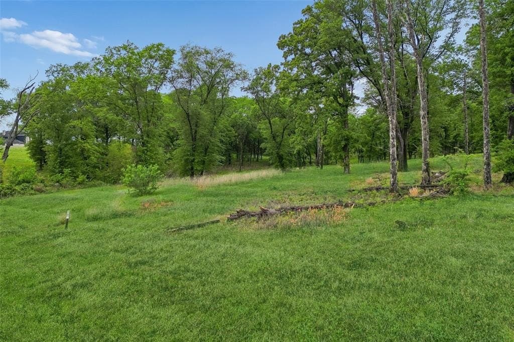 0.84 acres in Kaufman County gallery image 4