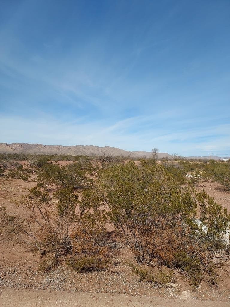 35.48 acres in Culberson County gallery image 3