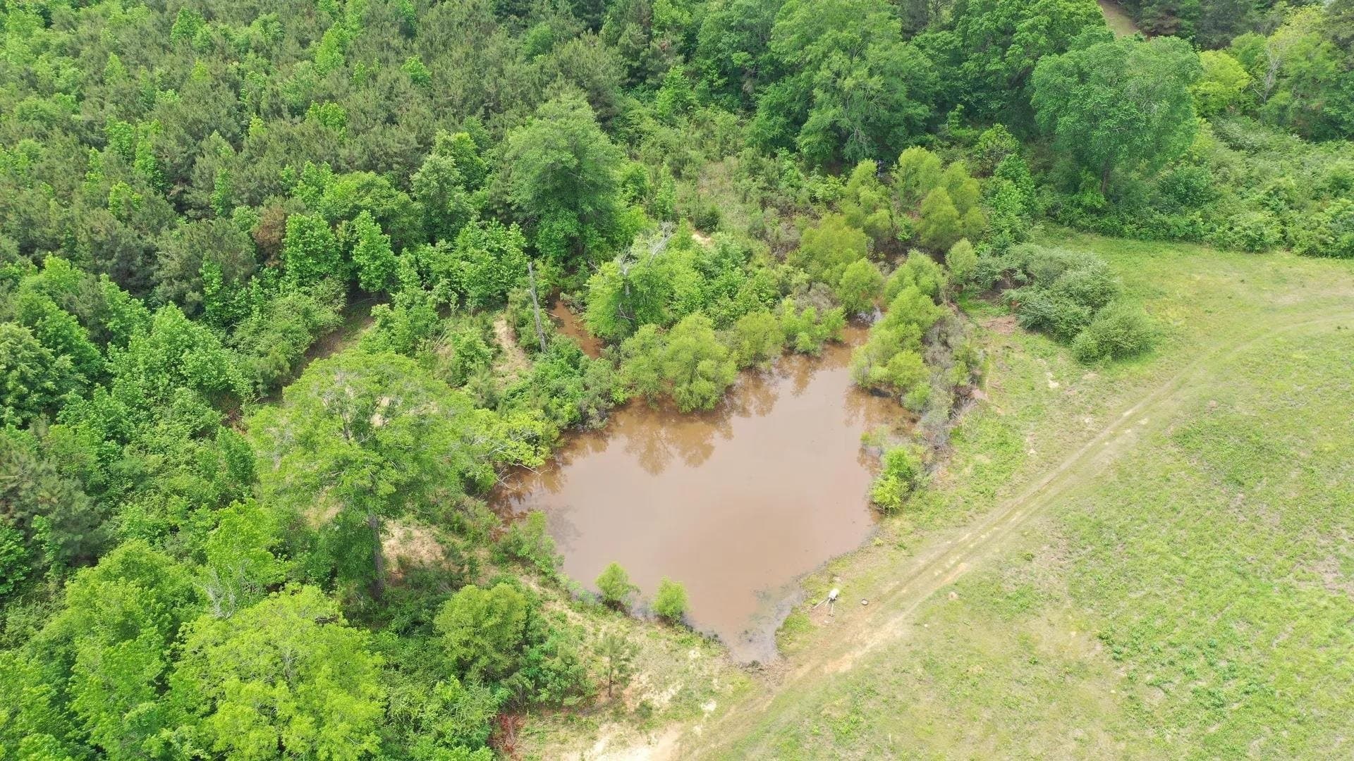 36.7 acres in Cass County gallery image 3