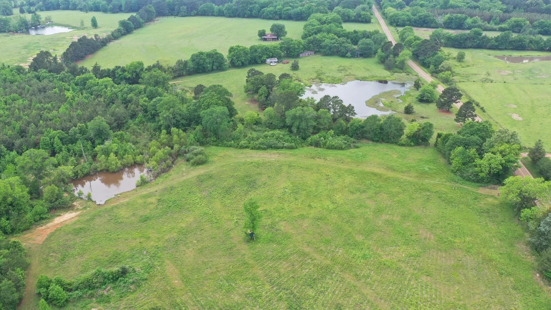 36.7 acres in Cass County gallery image 2