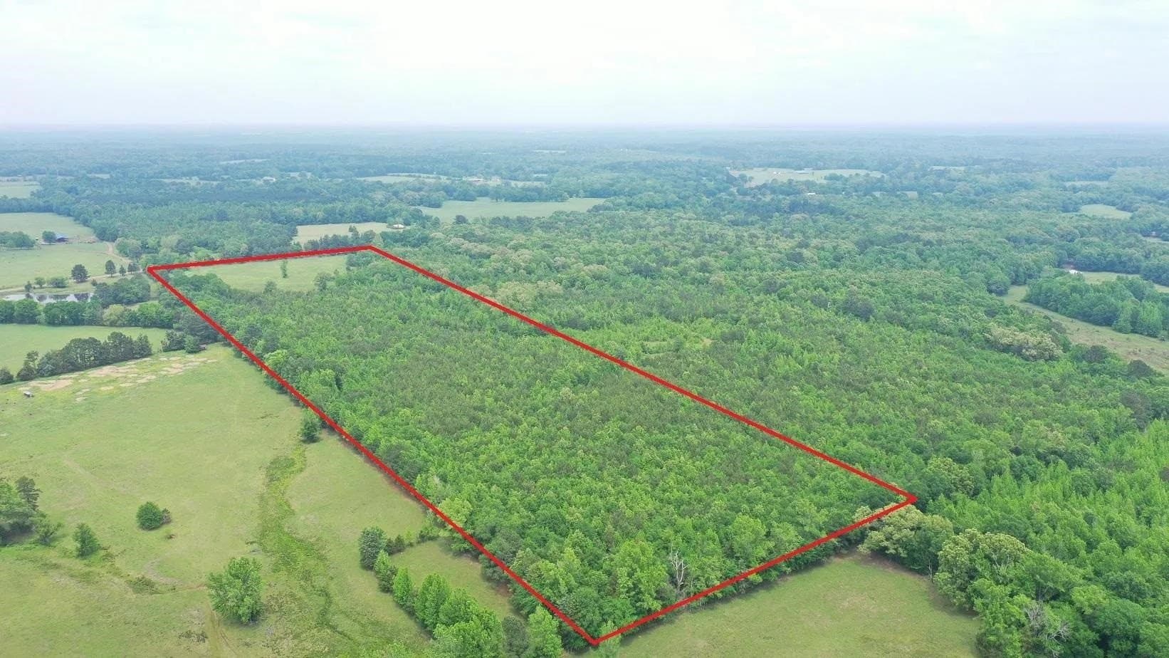 36.7 acres in Cass County