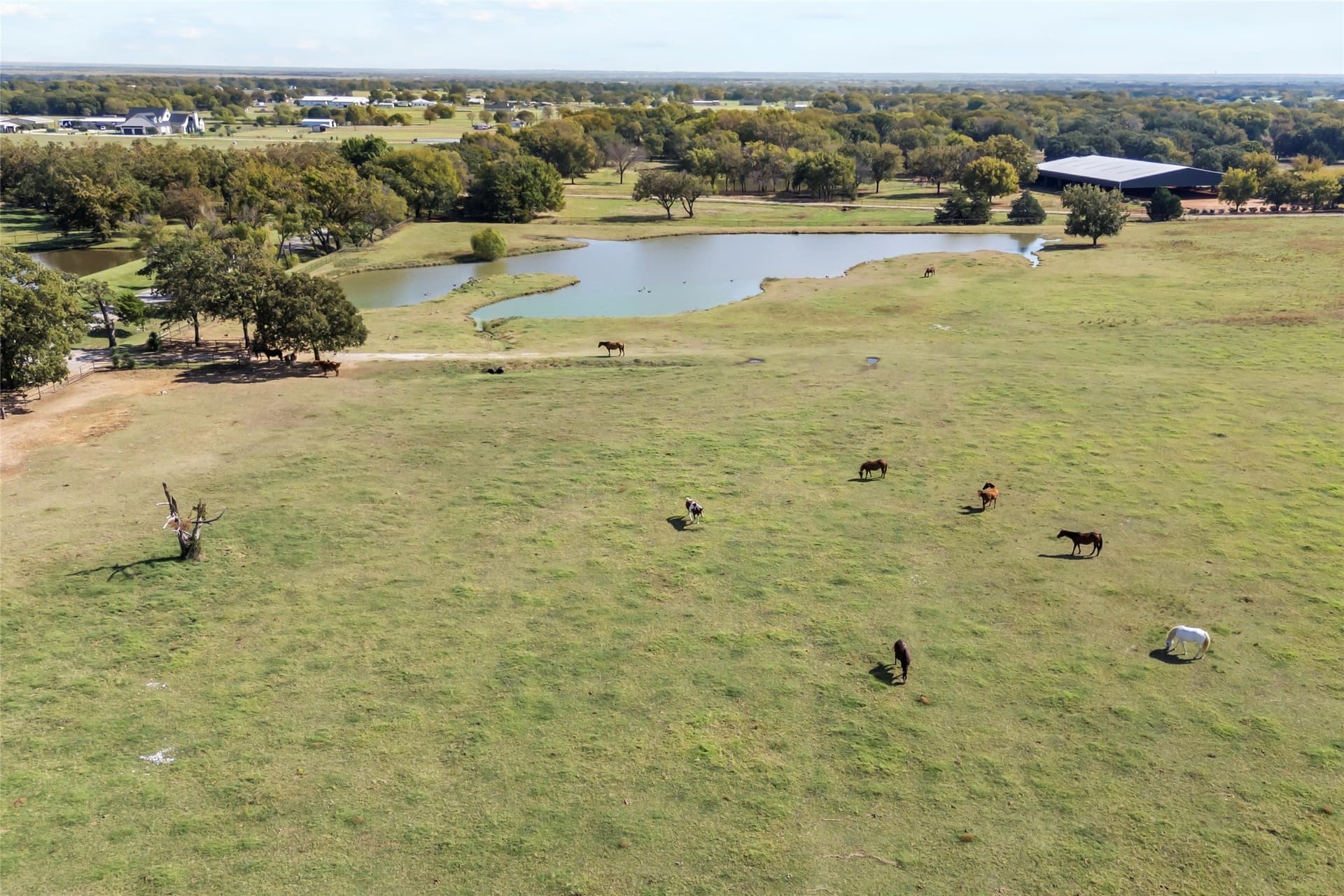 61.7 acres in Denton County - photo 4