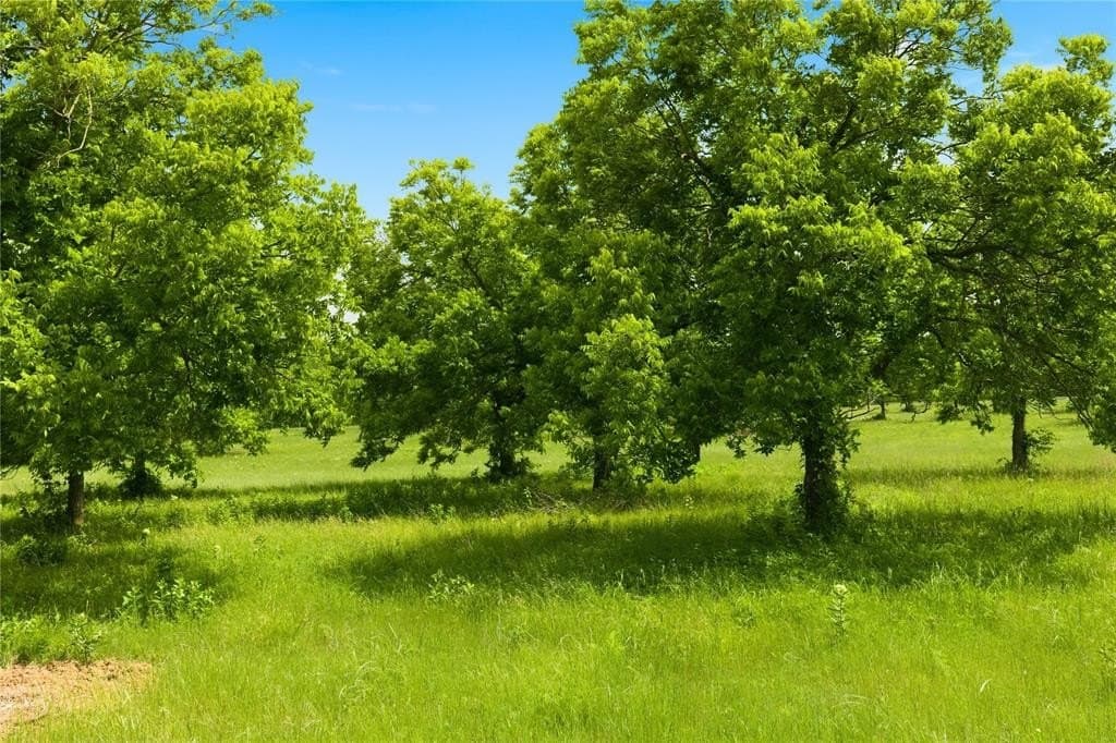1.38 acres in Hunt County gallery image 2
