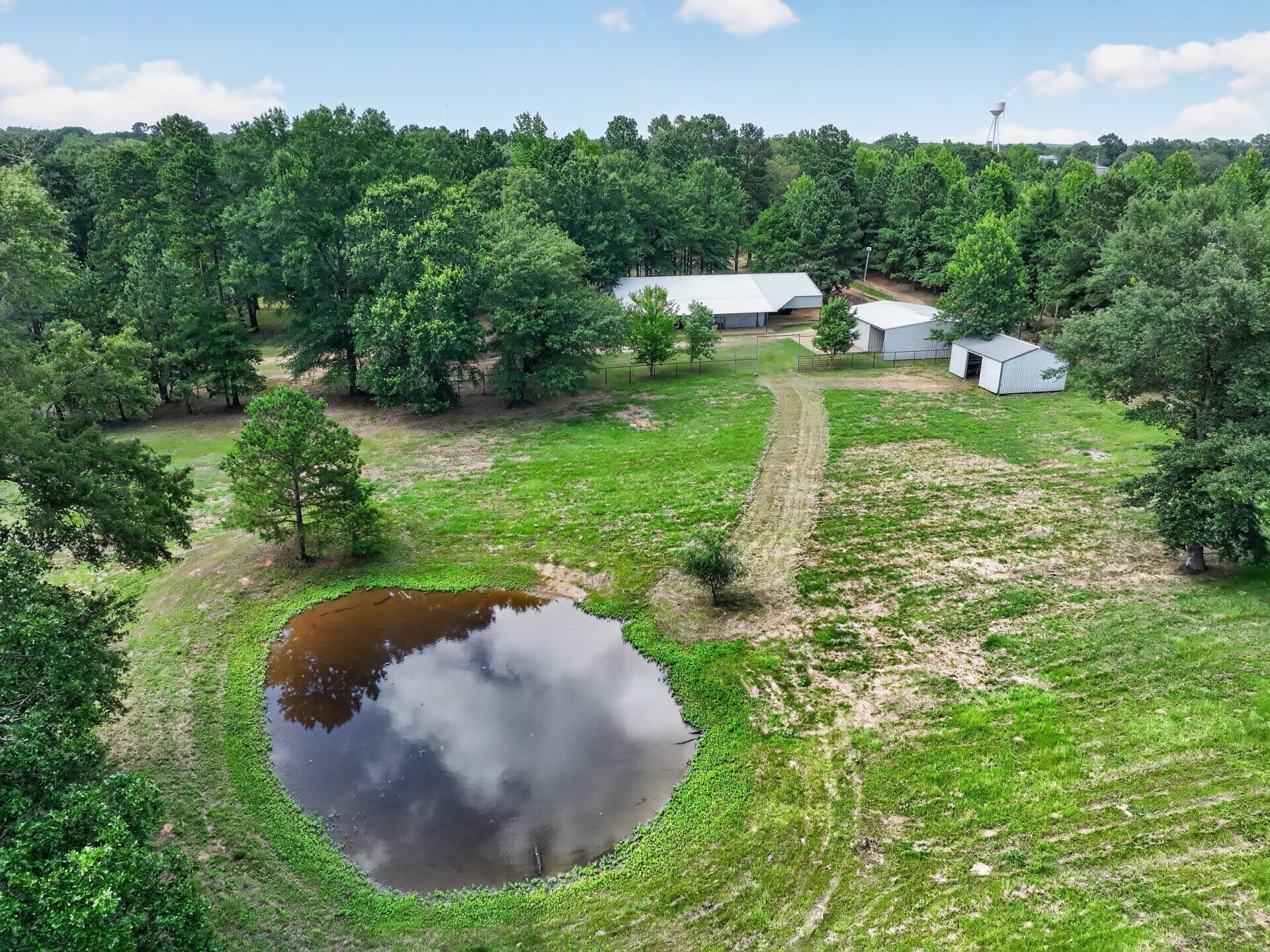 60 acres in Cass County - photo 16