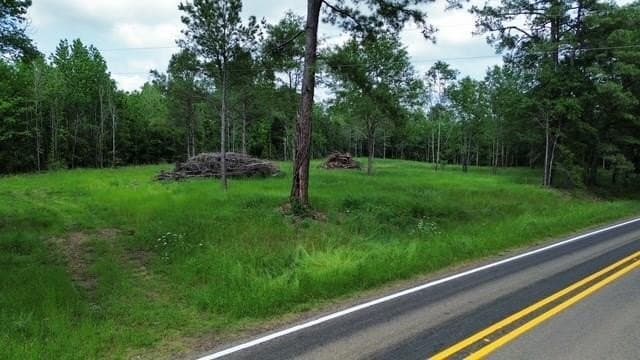 19.23 acres in Shelby County gallery image 3