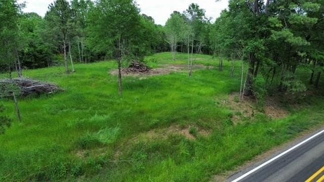 19.23 acres in Shelby County gallery image 2