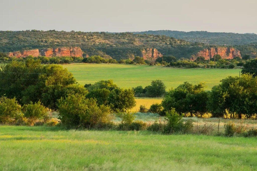 312 acres in Mason County - photo 19