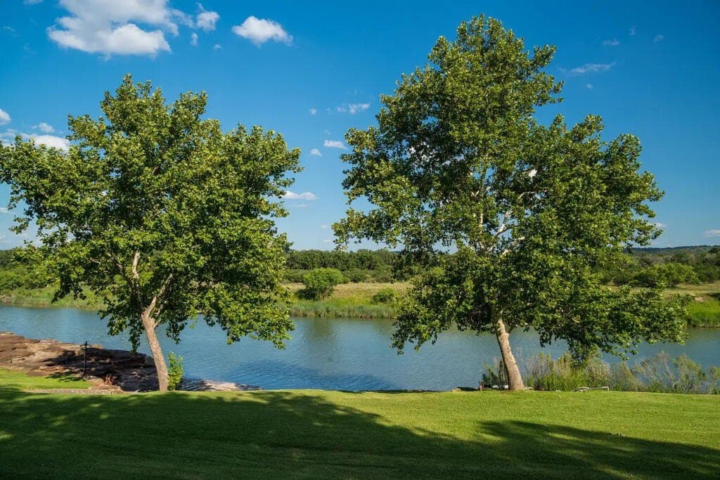 312 acres in Mason County - photo 6