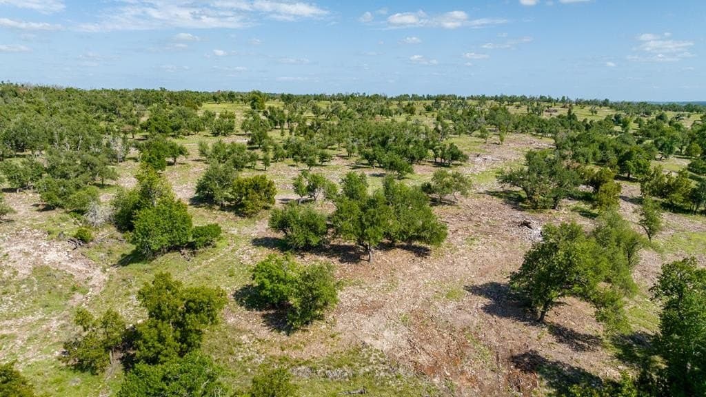 17 acres in Gillespie County - photo 7