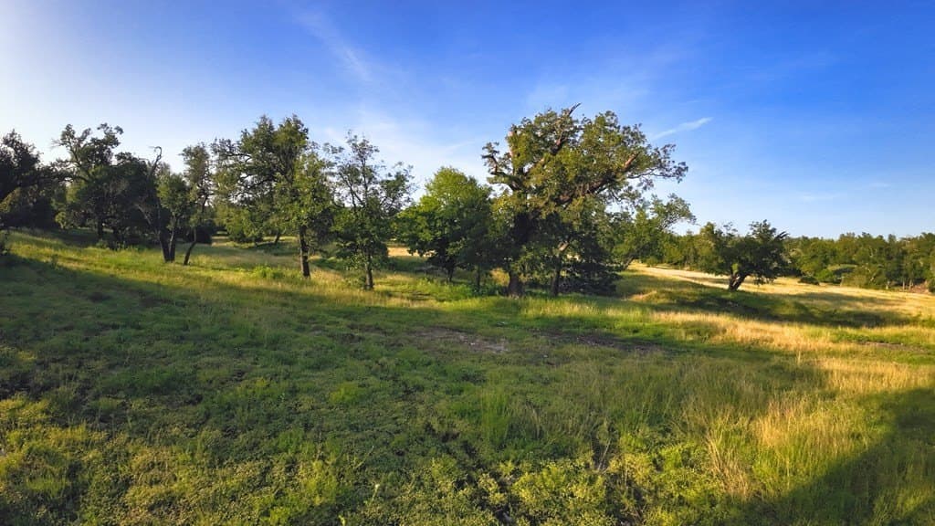17 acres in Gillespie County gallery image 3