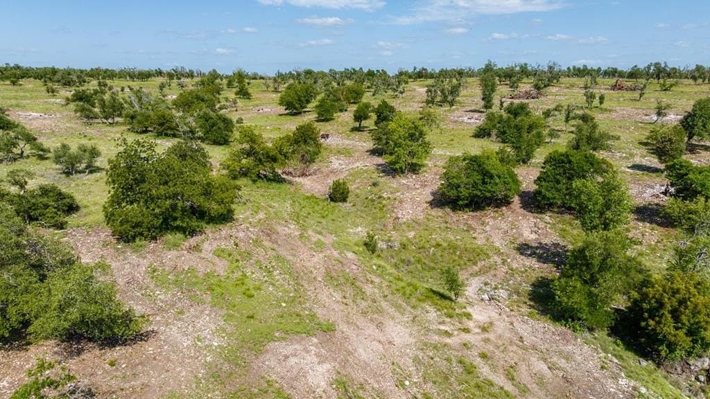17 acres in Gillespie County - photo 9