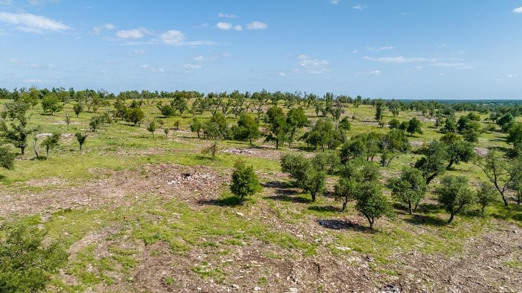 17 acres in Gillespie County - photo 8