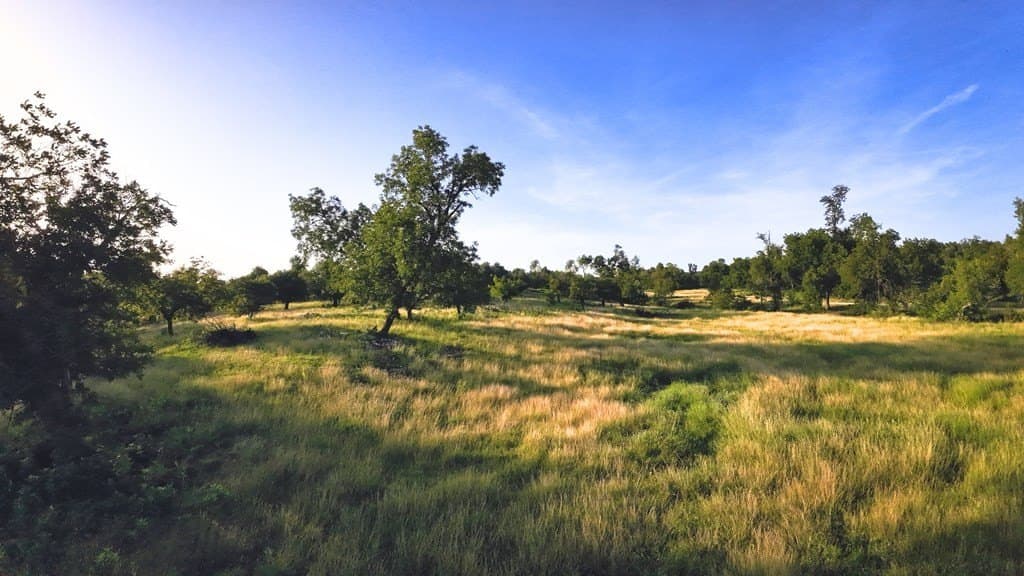 17 acres in Gillespie County featured view