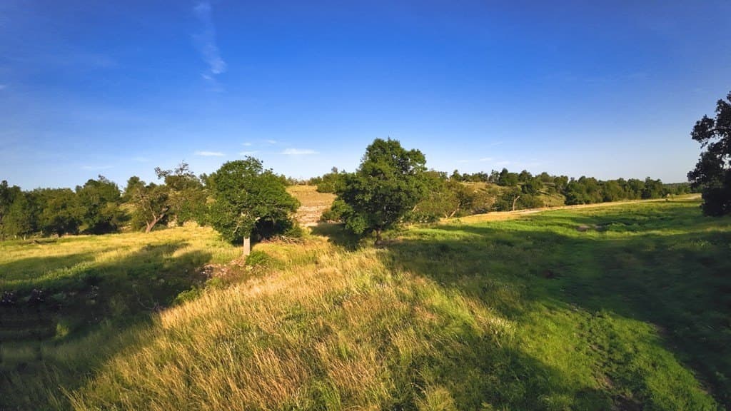 17 acres in Gillespie County gallery image 4