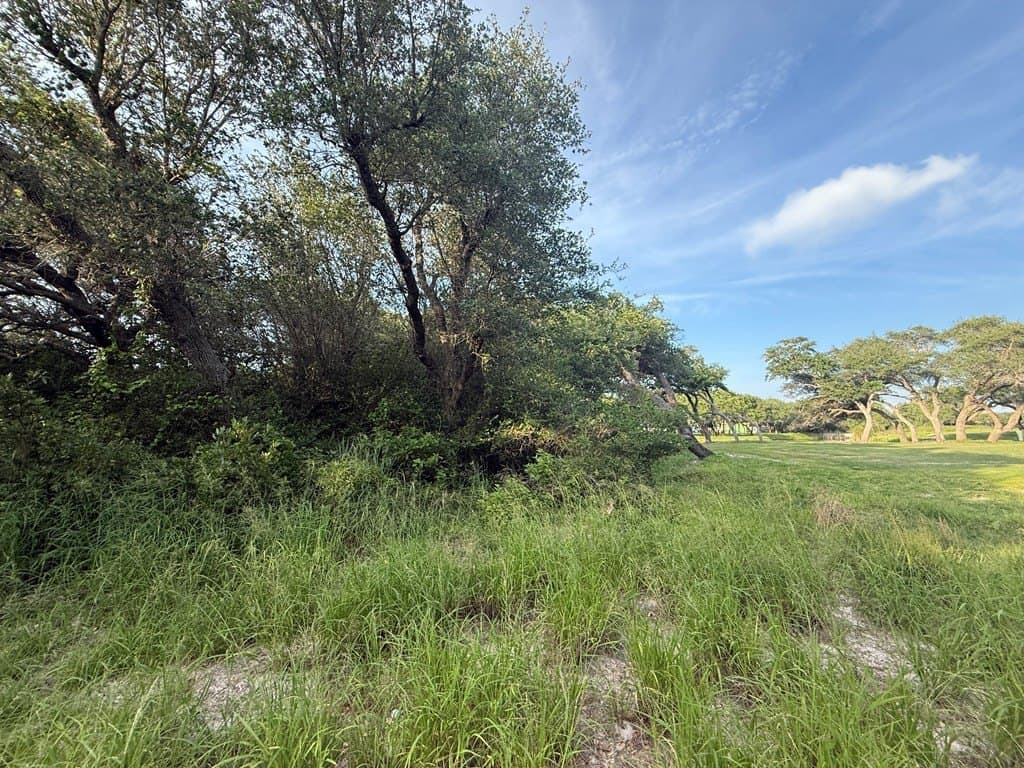 0.56 acres in Texas County - photo 13