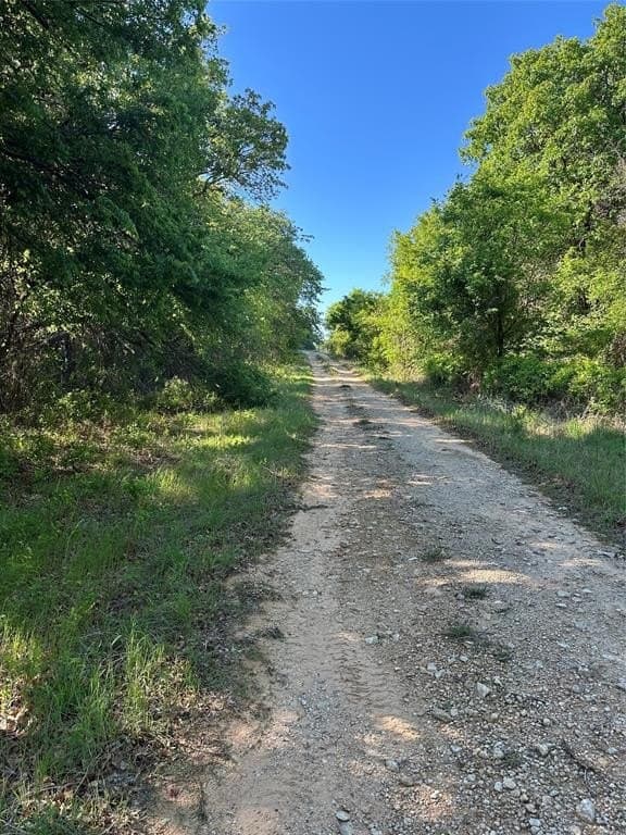 12.3 acres in Comanche County gallery image 4