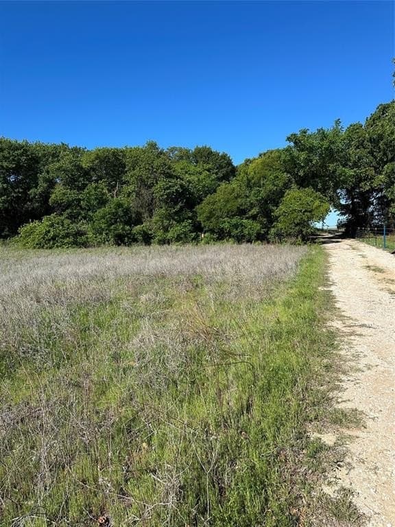 12.3 acres in Comanche County gallery image 2