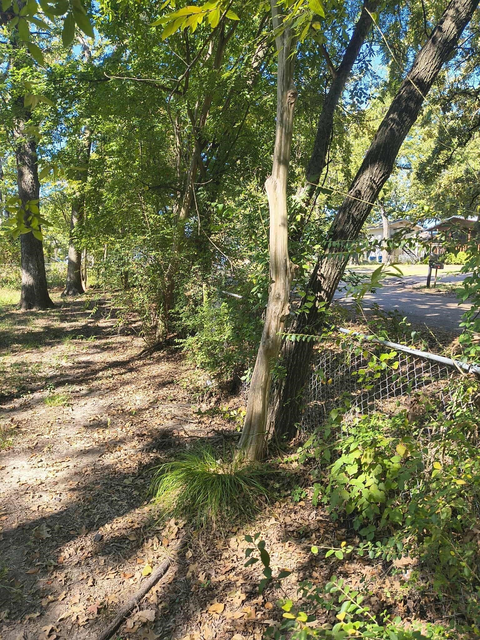 0.11 acres in Henderson County - photo 5