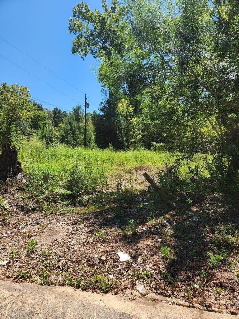6 acres in Texas County - photo 4