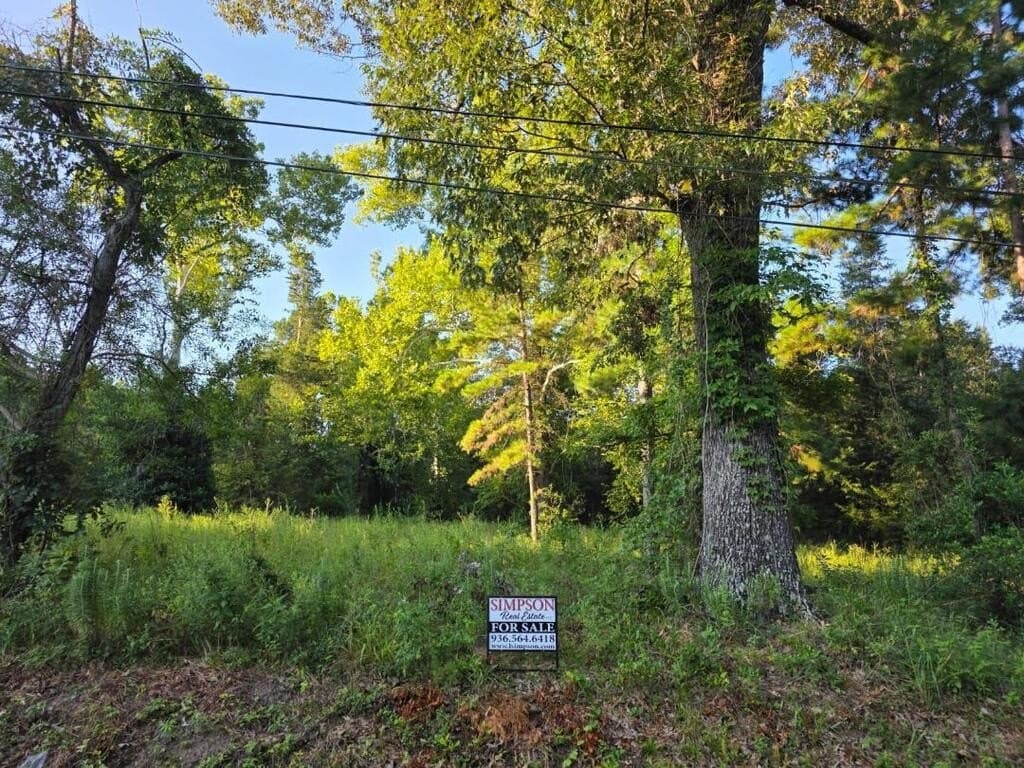6 acres in Texas County - photo 3