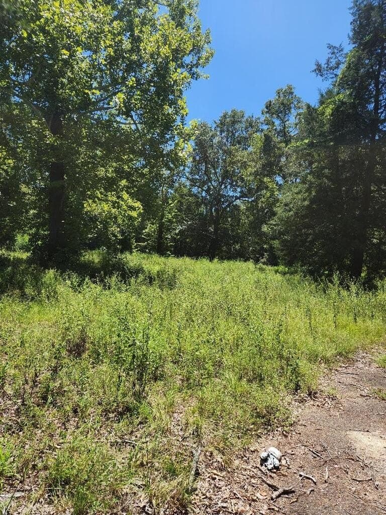 6 acres in Texas County - photo 2