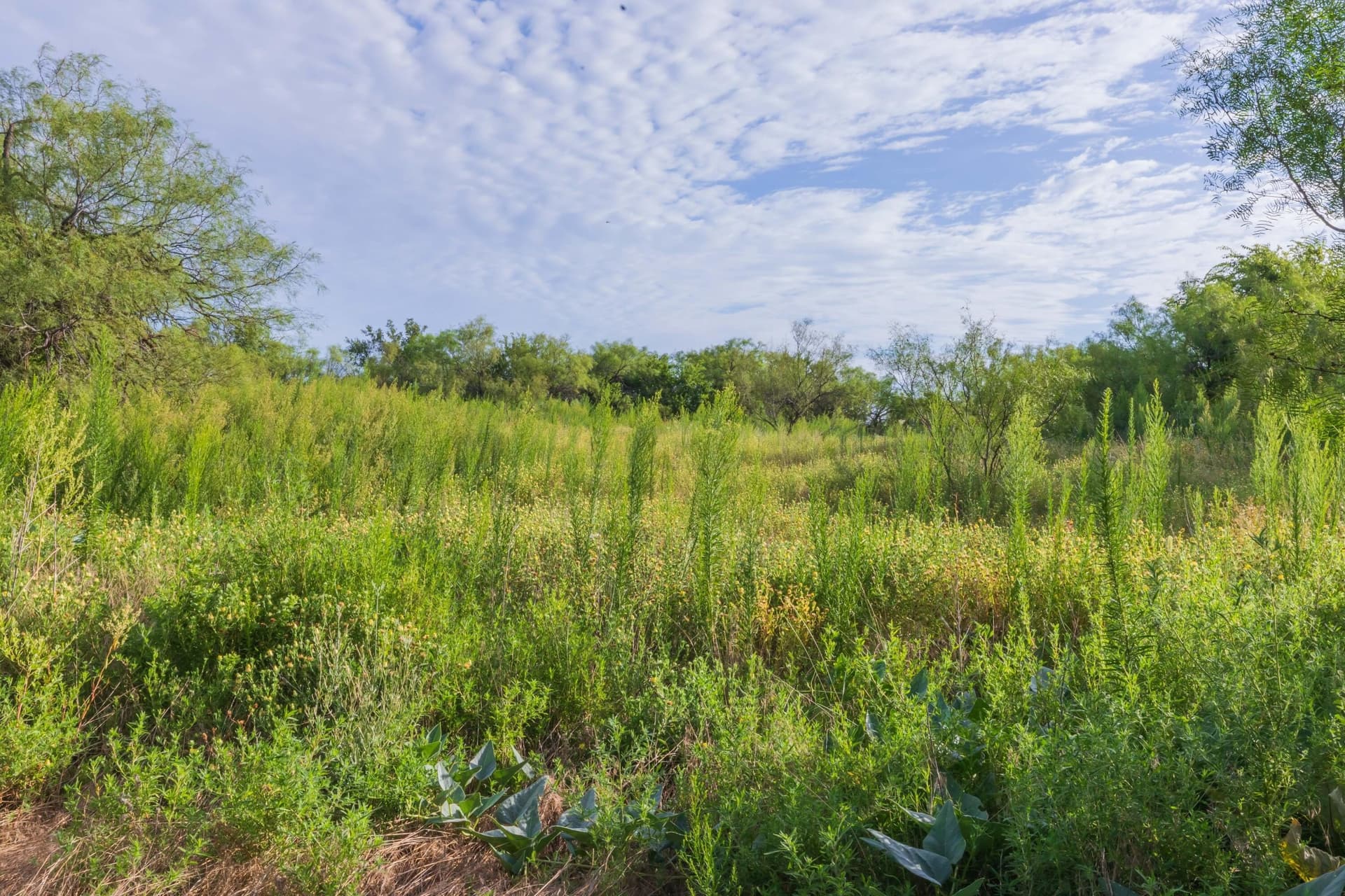 36.57 acres in Donley County featured view