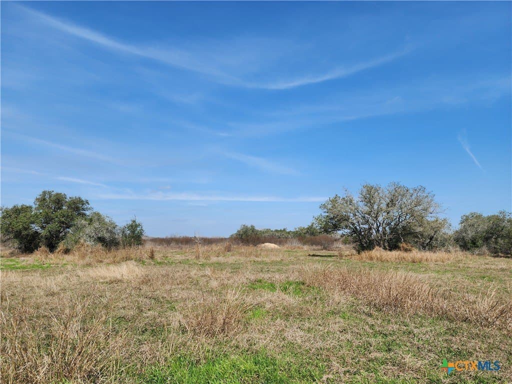 15 acres in Goliad County gallery image 4