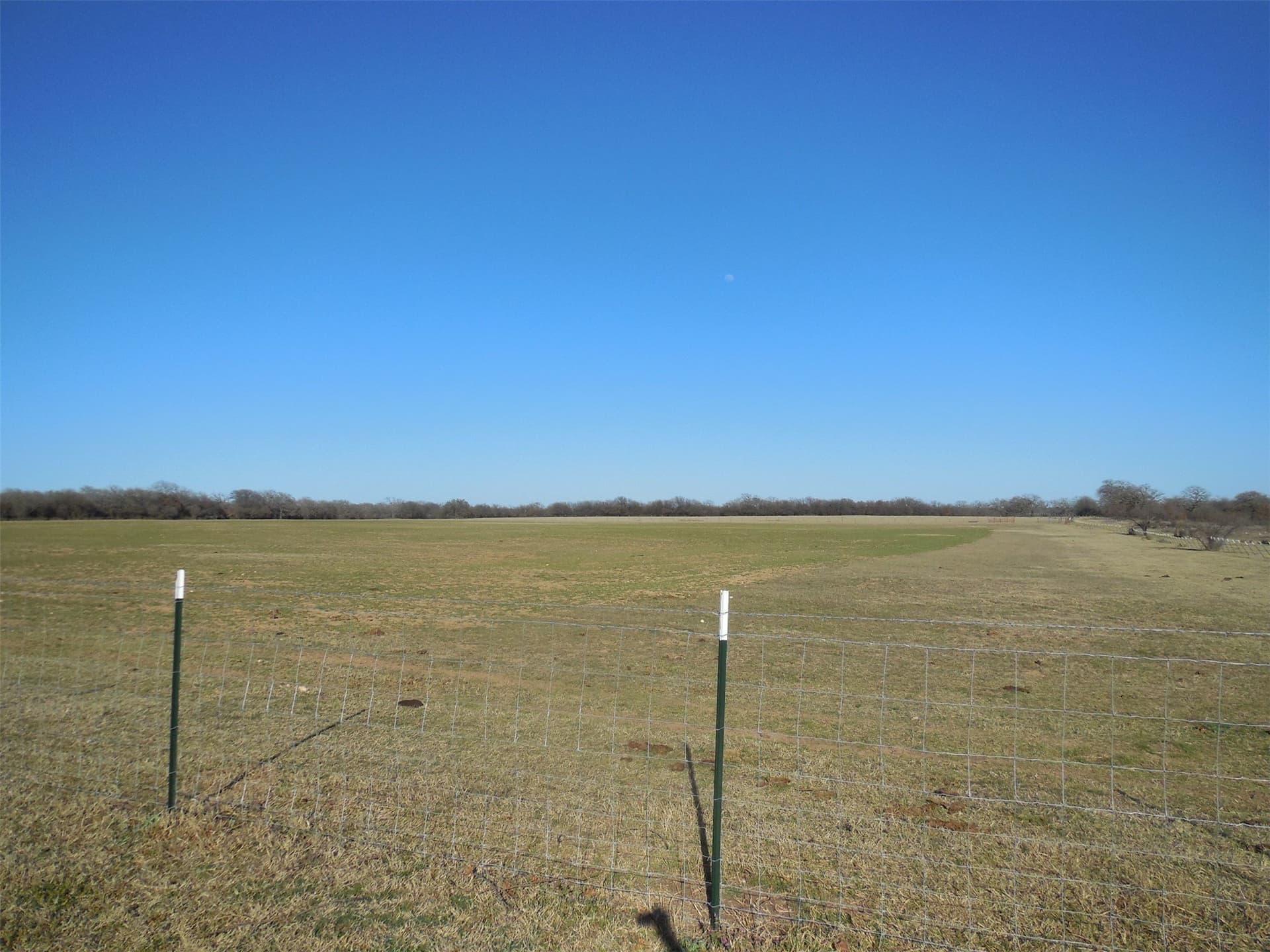 83.4 acres in Stephens County - photo 8