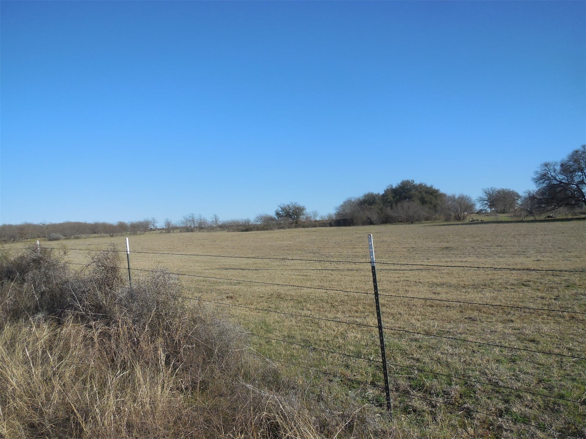 83.4 acres in Stephens County gallery image 3