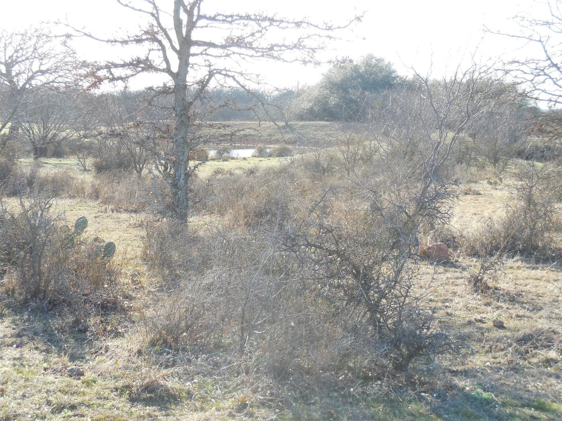 83.4 acres in Stephens County - photo 18