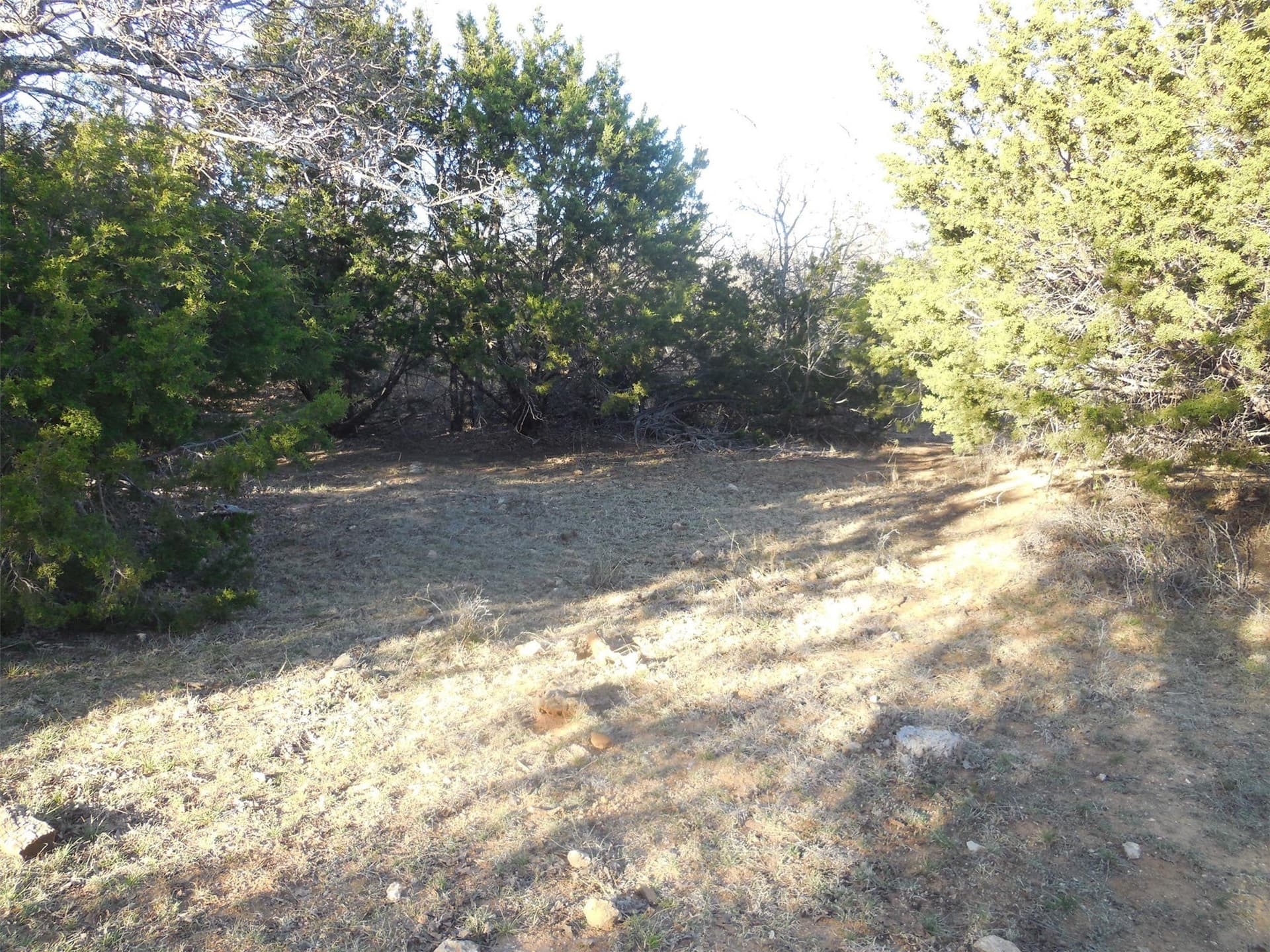 83.4 acres in Stephens County - photo 27