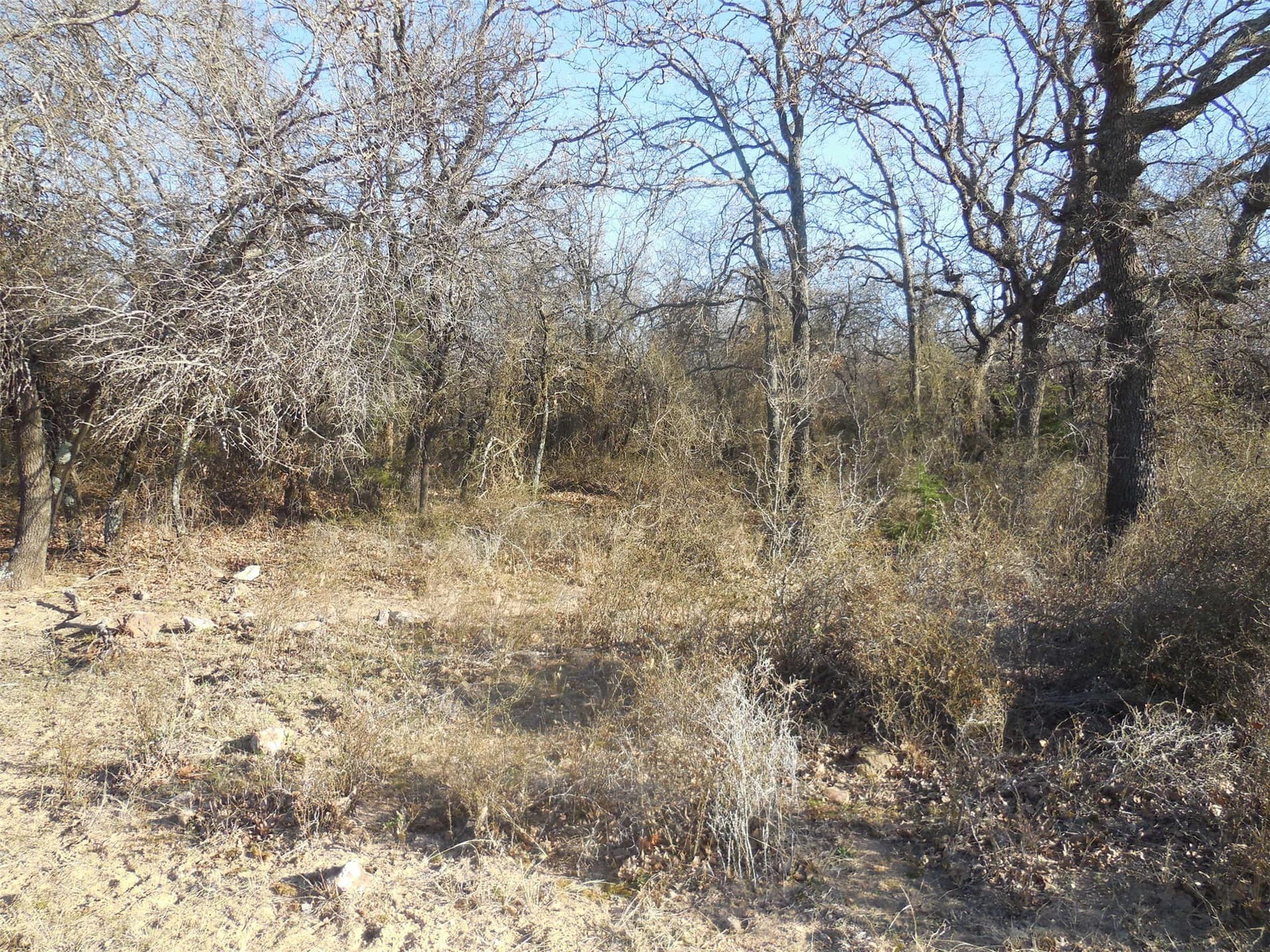 83.4 acres in Stephens County - photo 19