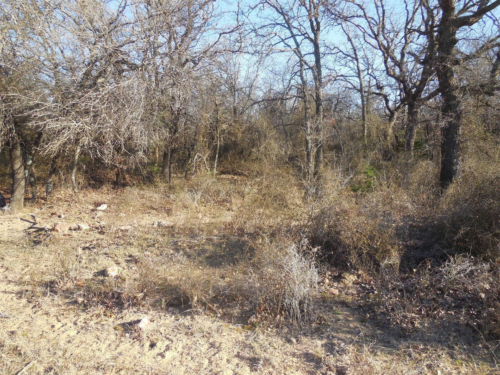 83.4 acres in Stephens County - photo 20
