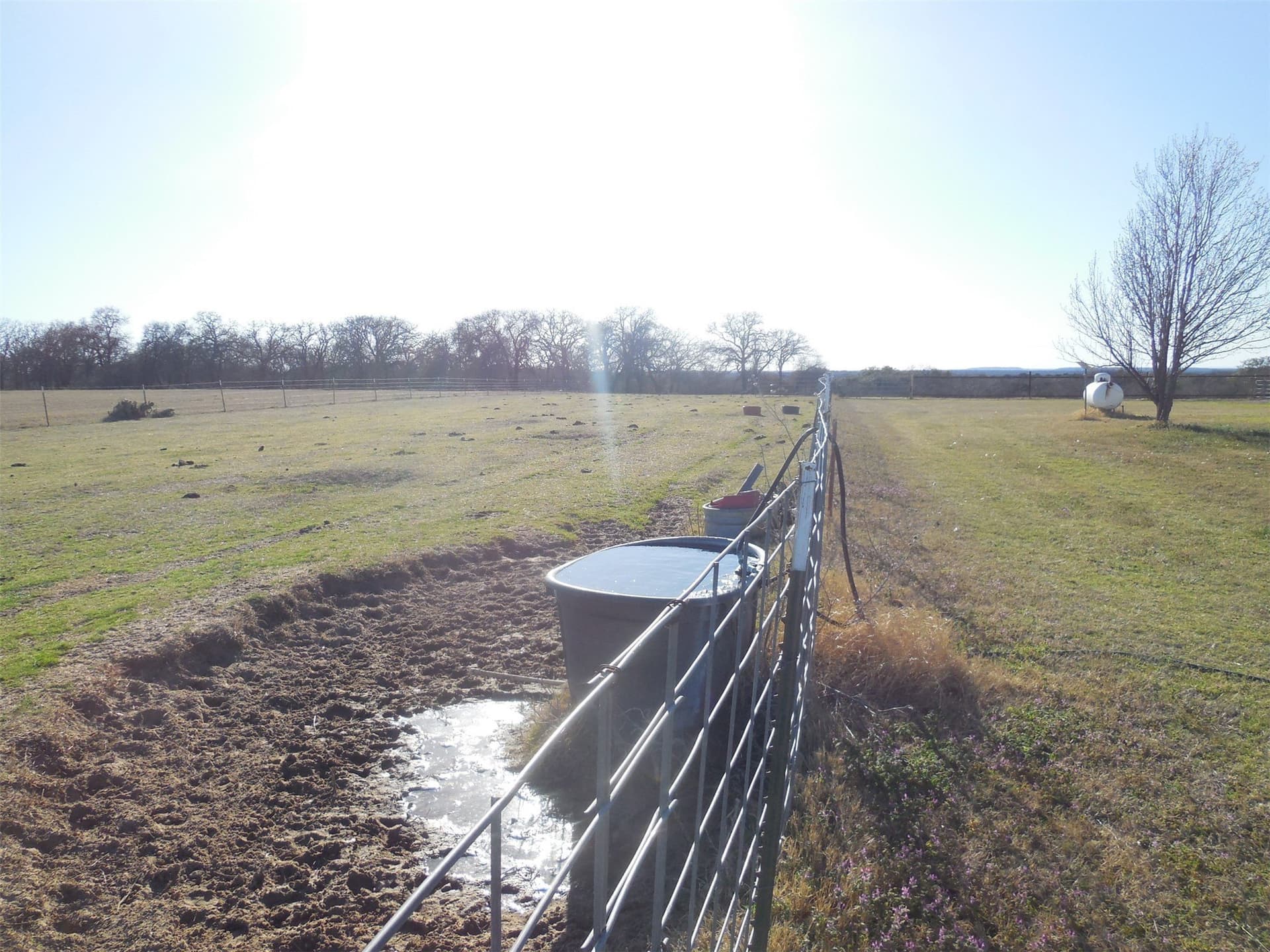83.4 acres in Stephens County - photo 7