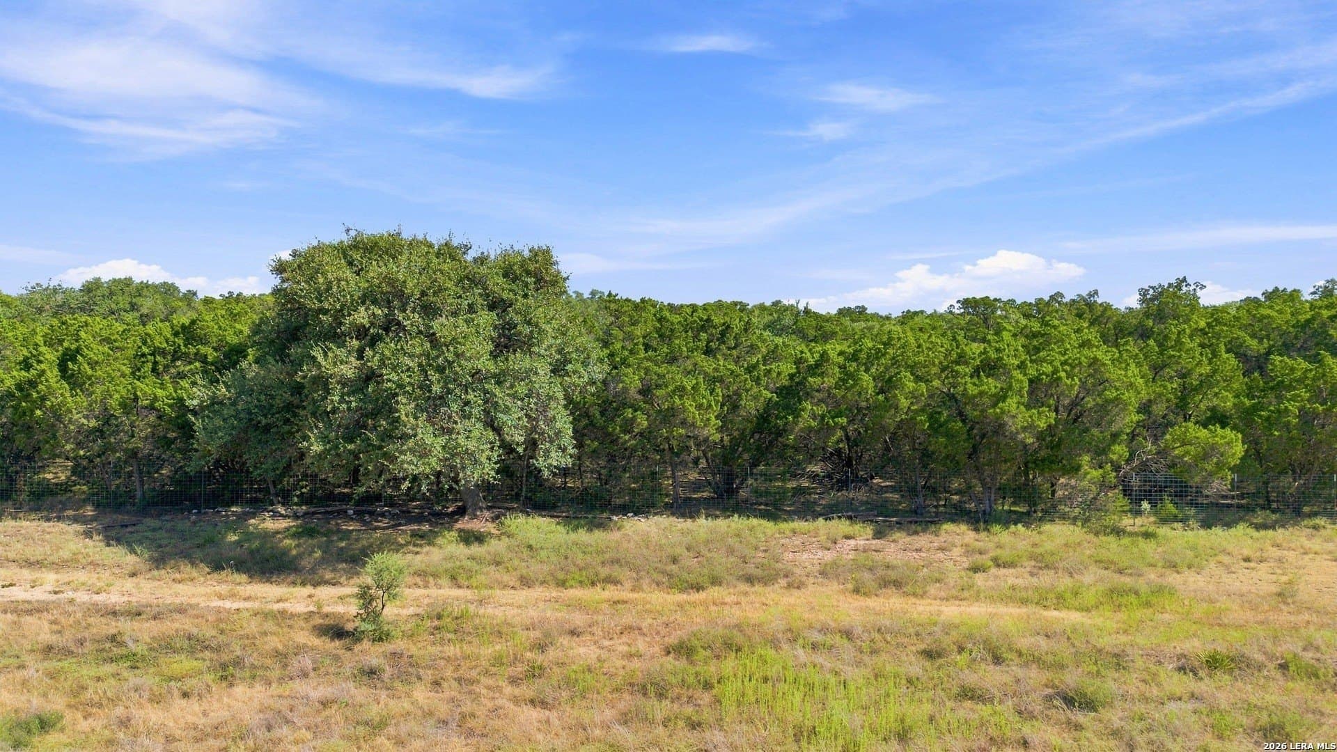 1.9 acres in Bexar County - photo 20