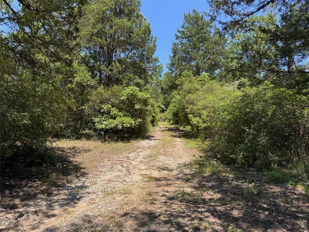 19.57 acres in Leon County - photo 22
