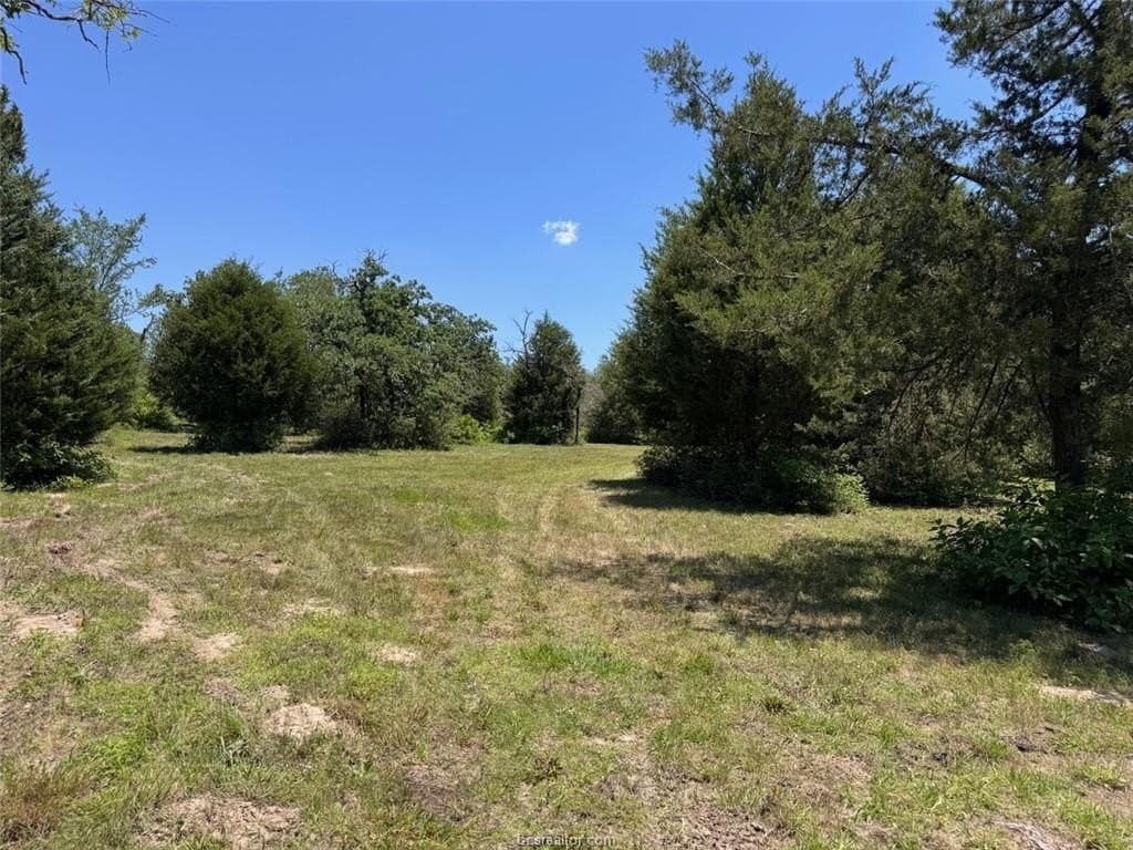19.57 acres in Leon County - photo 26